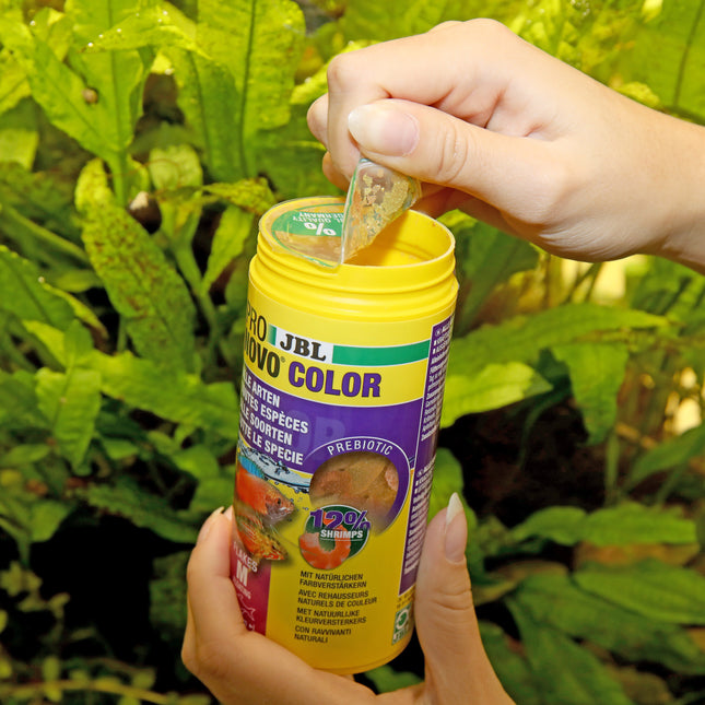 AnimalstoreXL Pronovo Color Flakes M 250ml