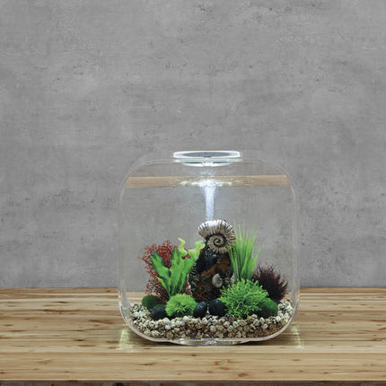 AnimalstoreXL Life 30 MCR Clear