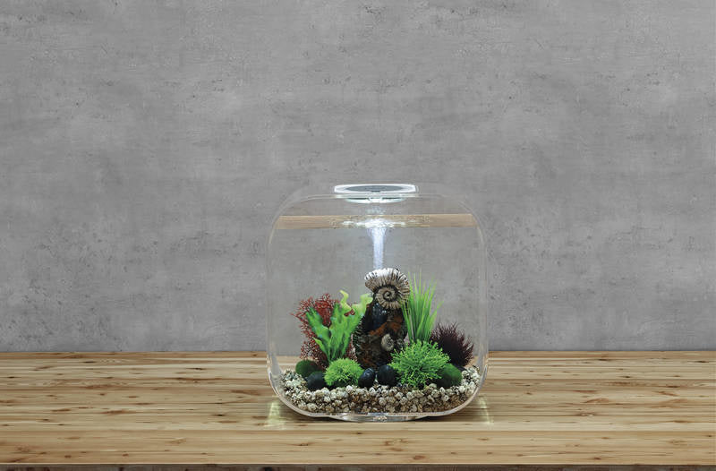 AnimalstoreXL Life 30 MCR Clear