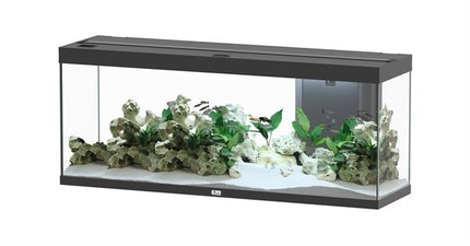 AnimalstoreXL Splendid 150 aquarium