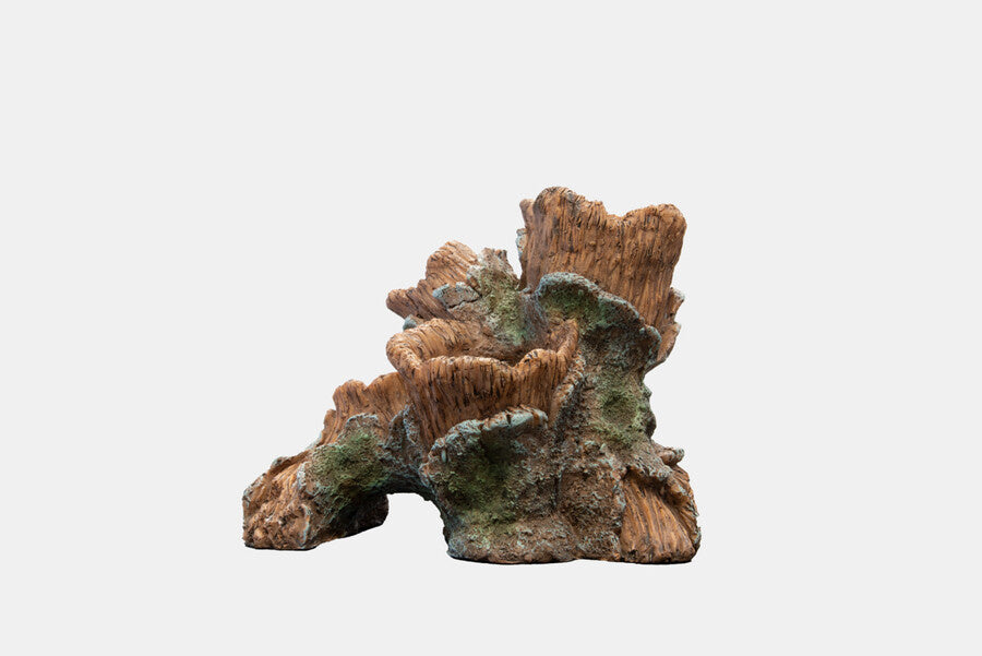 AnimalstoreXL Scapers Wood Planty S