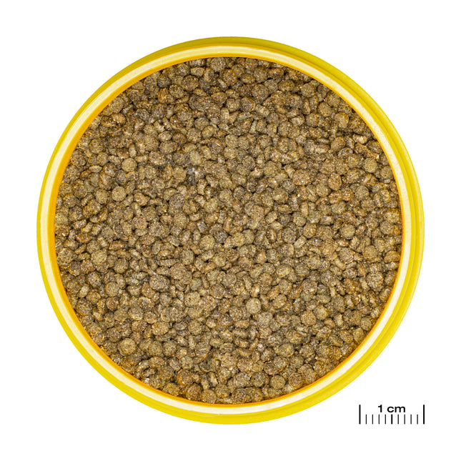 AnimalstoreXL Pronovo Gourami Grano S 250ml Click