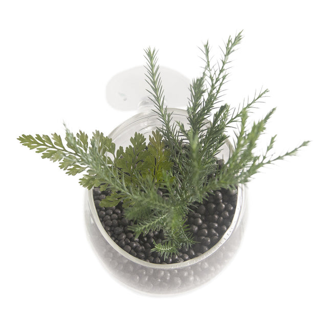 AnimalstoreXL Glazen plantenpotje