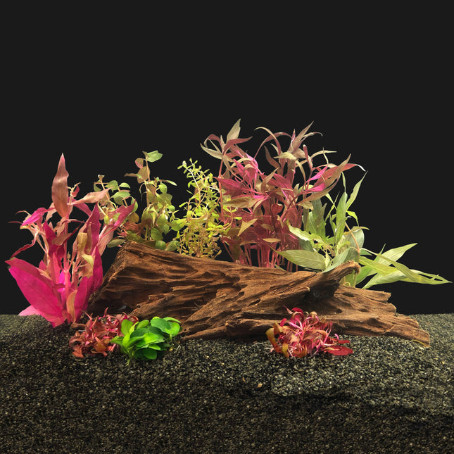 AnimalstoreXL Plantenpakket Rood