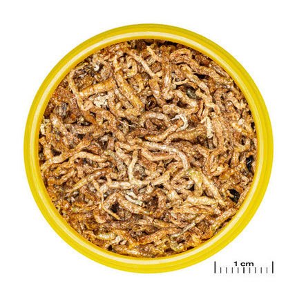 AnimalstoreXL Pronovo Fil 100ml