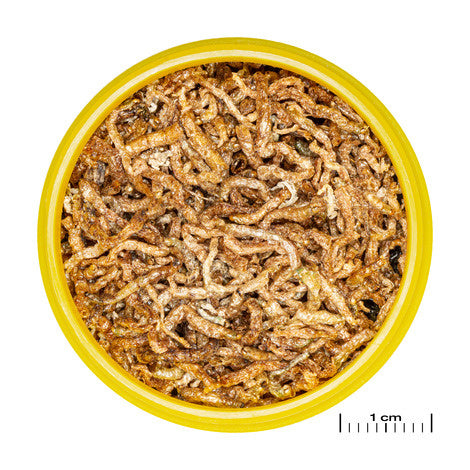 AnimalstoreXL Pronovo Fil 100ml