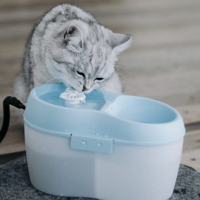 AnimalstoreXL Waterbak 2l