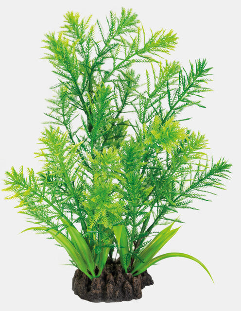 AnimalstoreXL Art Plant 25cm Hottonia