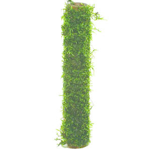 AnimalstoreXL Bamboo stok met Javamos 20cm