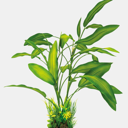 AnimalstoreXL Art Plant 40cm Cryptocoryne