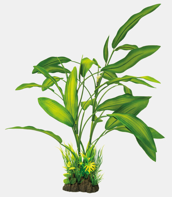 AnimalstoreXL Art Plant 40cm Cryptocoryne