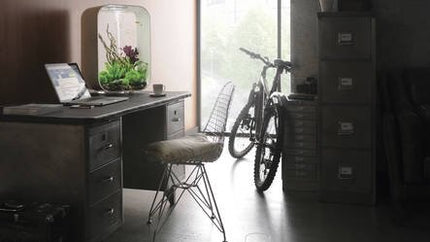 AnimalstoreXL Life 60 MCR Zwart