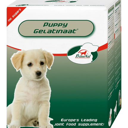 AnimalstoreXL Gelatinaat Puppy 350g