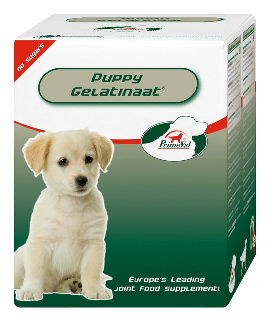 AnimalstoreXL Gelatinaat Puppy 350g