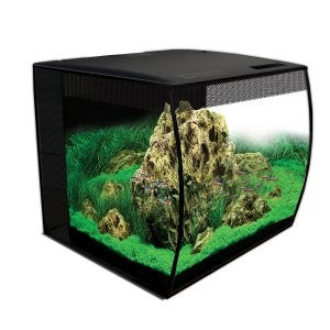 AnimalstoreXL Flex Aquarium Compleet 57L Zwart