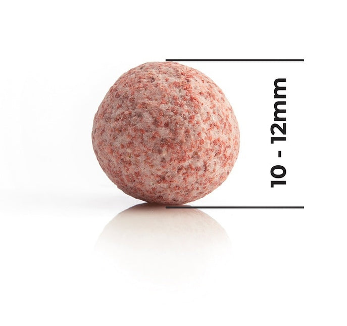 AnimalstoreXL Pearl Media