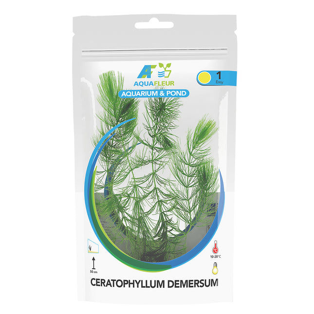 AnimalstoreXL Ceratophyllum Demersum in zak