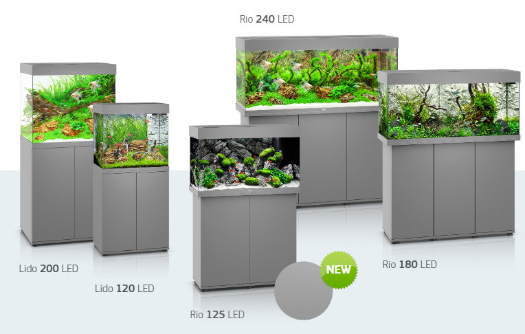 AnimalstoreXL Juwel Rio 180 Grijs LED Aquarium