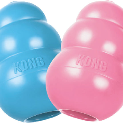 AnimalstoreXL Kong Puppy Medium