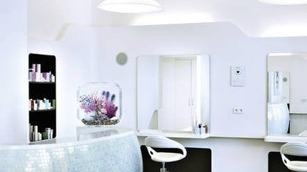 AnimalstoreXL Life 60 MCR Clear