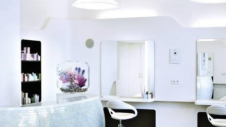 AnimalstoreXL Life 60 MCR Clear