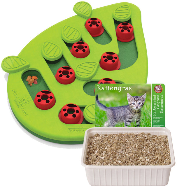 AnimalstoreXL Kat Voerpuzzel met Kattengras