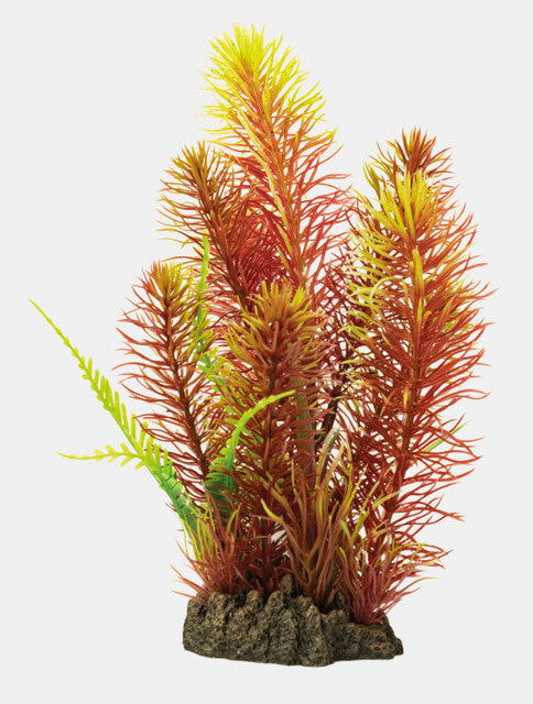 AnimalstoreXL Art Plant 25cm Myriophyllum Red