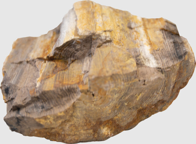 AnimalstoreXL Aquascape Red Wood Rock 5kg