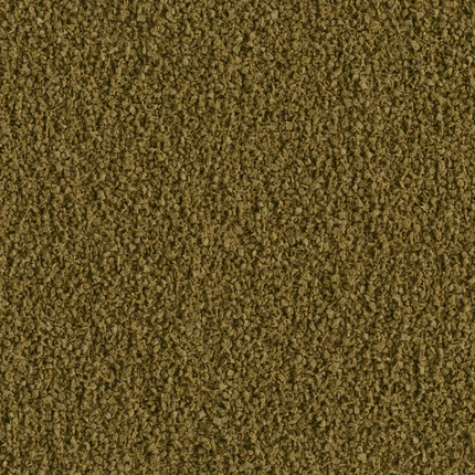 AnimalstoreXL Reptofrog Granulaat 100ml