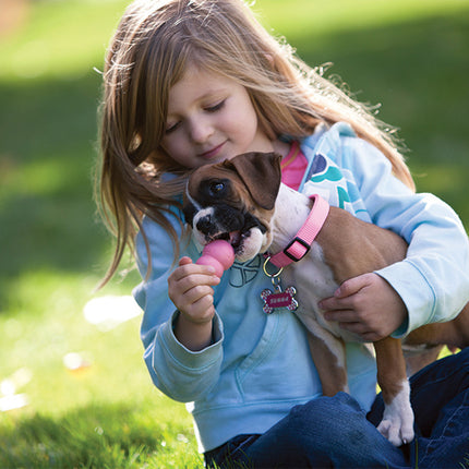 AnimalstoreXL Kong Puppy Large