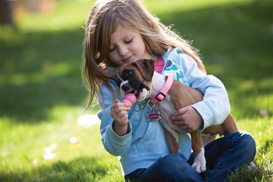 AnimalstoreXL Kong Puppy Large