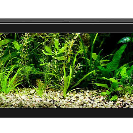 AnimalstoreXL Aqua 20 LED Zwart