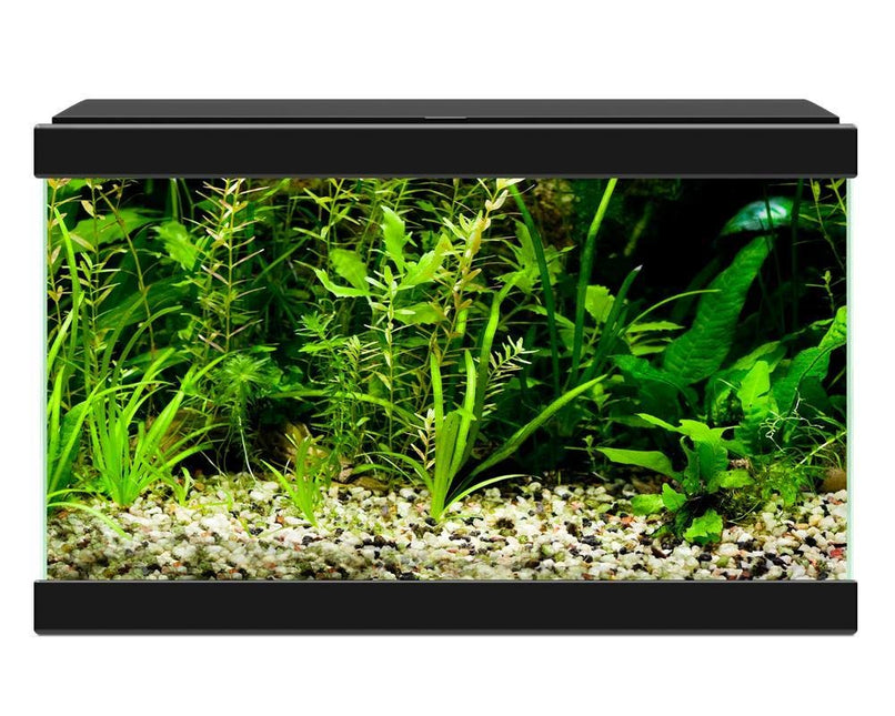 AnimalstoreXL Aqua 20 LED Zwart