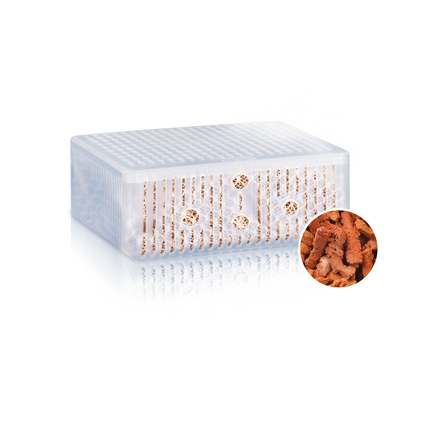 AnimalstoreXL Phorax M Bioflow 3.0/Compact Fosfaatverwijderaar