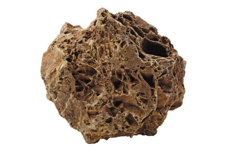 AnimalstoreXL Maple Leaf Rock S x3