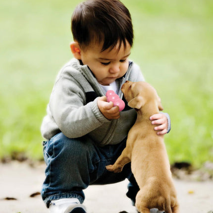 AnimalstoreXL Puppy Small