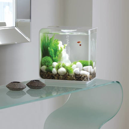 AnimalstoreXL Mosballen