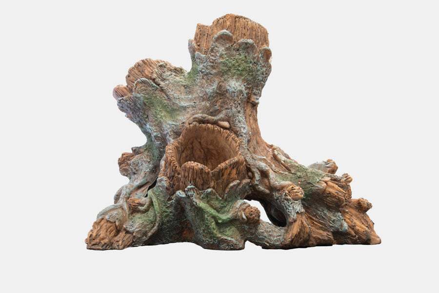 AnimalstoreXL Scapers Wood Planty L