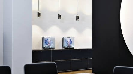 AnimalstoreXL Flow 30 MCR Zwart