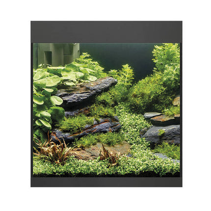 AnimalstoreXL StyleLine 85 Aquarium Zwart
