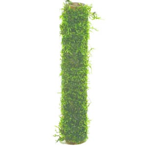 AnimalstoreXL Bamboo stok met Javamos XL 30cm