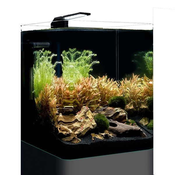 AnimalstoreXL Nano Cube Basic 20L