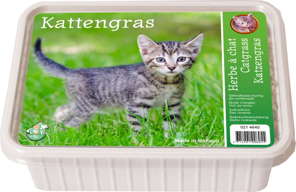 AnimalstoreXL Kattengras