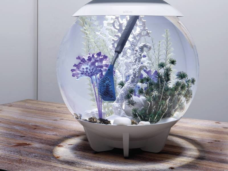 AnimalstoreXL Veelzijdige reinigingsborstel blauw