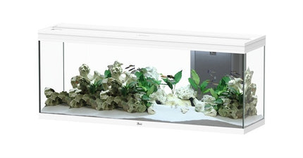 AnimalstoreXL Splendid 150 aquarium