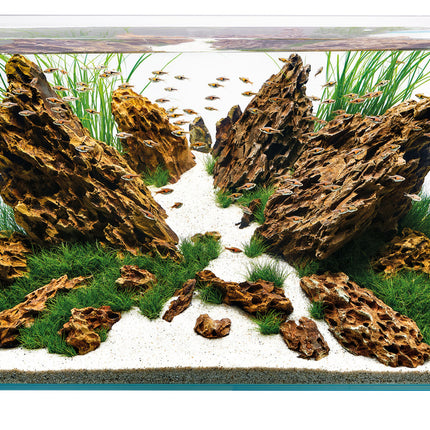 AnimalstoreXL ScaperLine 90 Aquarium