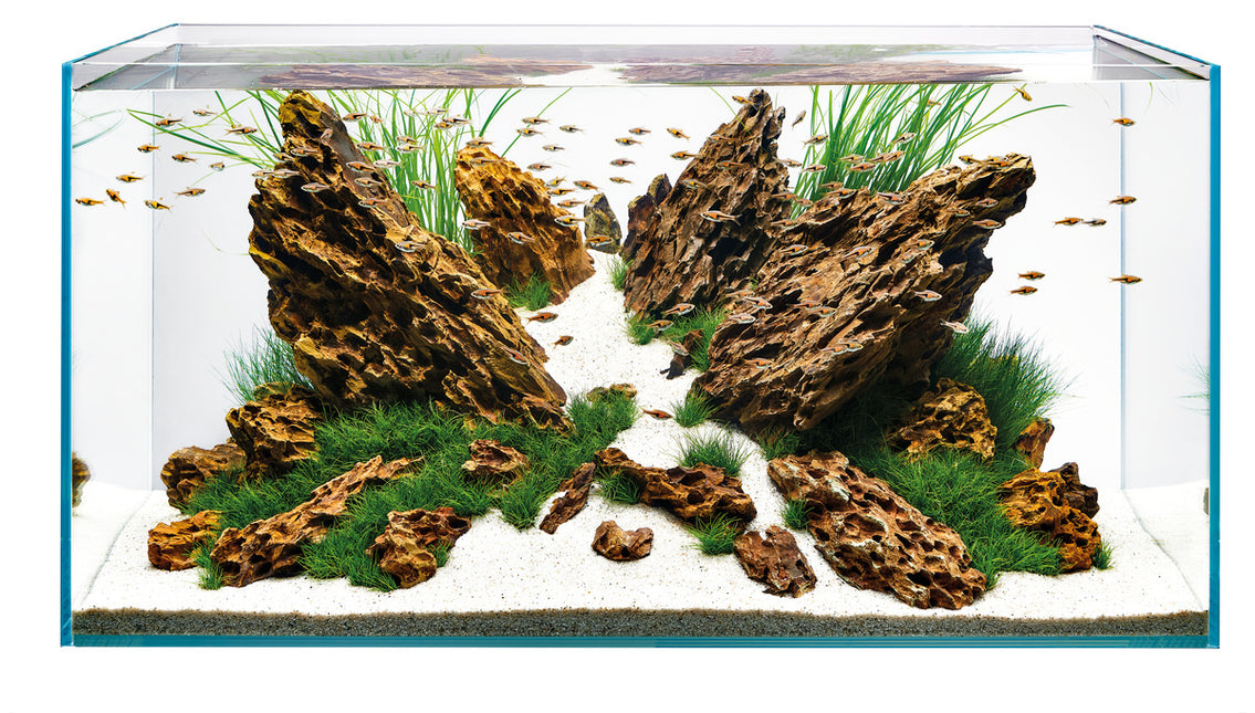 AnimalstoreXL ScaperLine 90 Aquarium