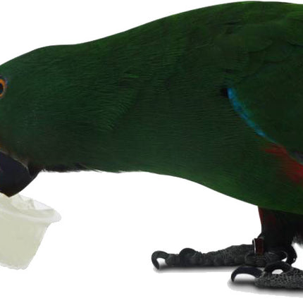 AnimalstoreXL Fruitcup Mix Pot 24 stuks