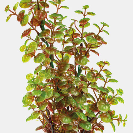 AnimalstoreXL Art Plant 25cm Rotala