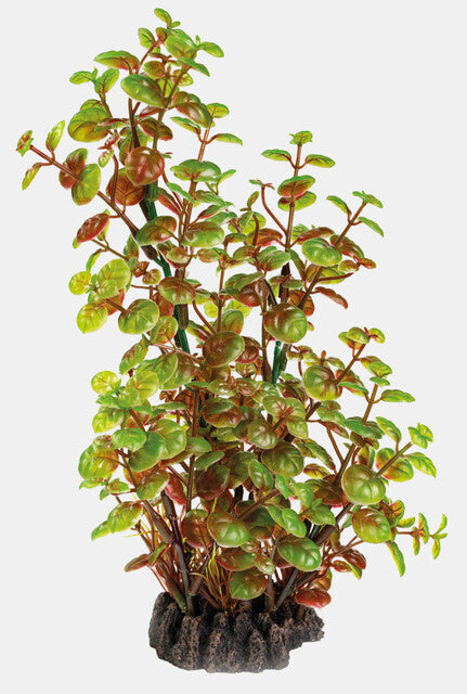AnimalstoreXL Art Plant 25cm Rotala